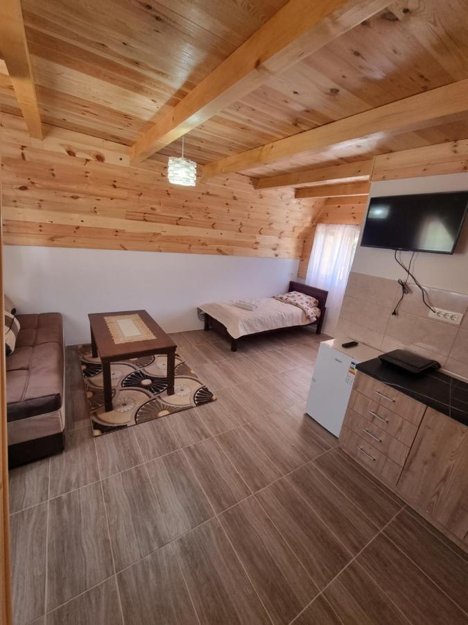 Apartmani Jezero 자블야크 객실 사진
